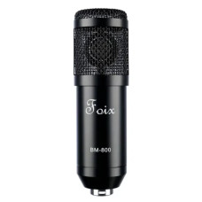 BM800 Микрофон, Foix