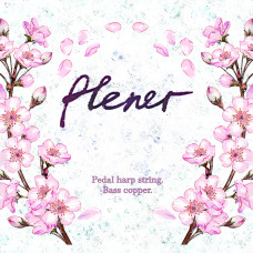 PHSM38 Отдельная струна Е/Ми (6 октава) для педальной арфы, Мастерская Прохора Лапина PHSM38 Отдельная струна Е/Ми (6 октава) для педальной арфы, Мастерская Прохора Лапина