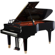 W218BK Р РѕСЏР»СЊ Р°РєСѓСЃС‚РёС‡РµСЃРєРёР№, С‡РµСЂРЅС‹Р№ Wendl&Lung