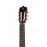 807-4P Classical Conservatory 4P Классическая гитара, с чехлом, Alhambra