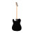 HEG350BK Электрогитара Telecaster SS Homage