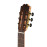MF-1-Martinez Классическая гитара со звукоснимателем, Martinez MF-1-Martinez Классическая гитара со звукоснимателем, Martinez