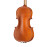 S-V044 Student Genial 1 Oil Скрипка 4/4, Gliga